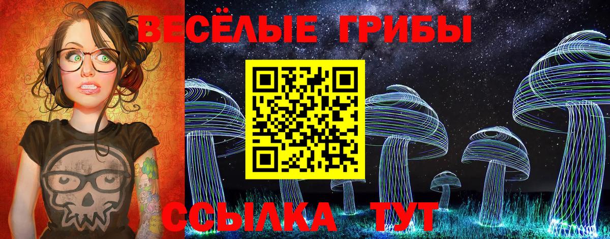 Галлюциногенные грибы Psilocybine cubensis Россошь